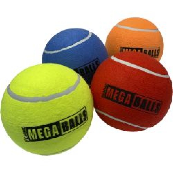Dog Toys